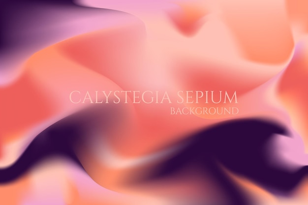 Calystegia sepium background