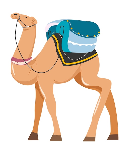 Camel animal used as transport in desert area