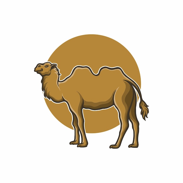 Camel animal vector illustration