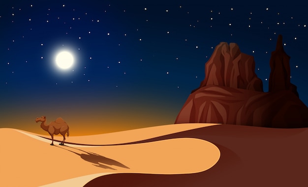 Vector camel in desert at night