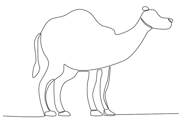 A camel for sacrifice Eid alAdha oneline drawing