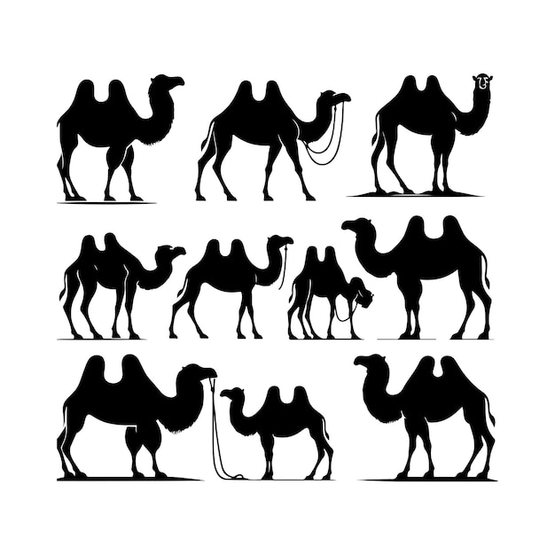 Vector camel set vector animal camel logo silhouettes vector illustration