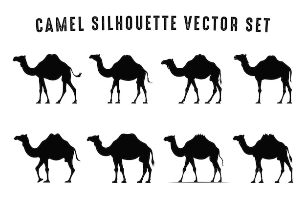 Vector camel silhouette vector bundle camels silhouettes black clipart set