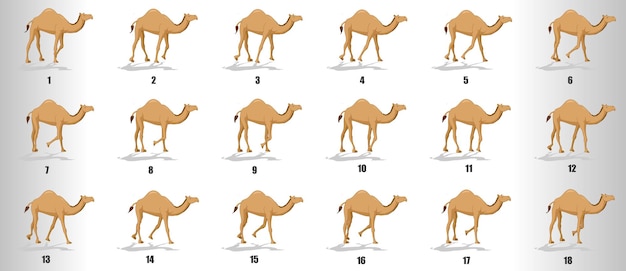 Camel Walk cycle animation sequence sprite sheet