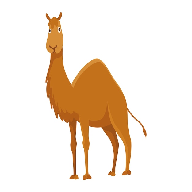 Camel with one hump Desert animal standing in side view Cartoon vector Flat icon design isolated on white background