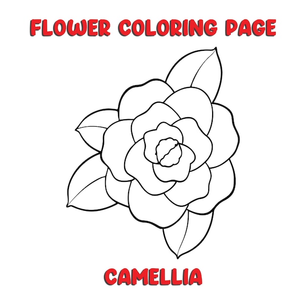 CAMELLIA flowers coloring book for kids