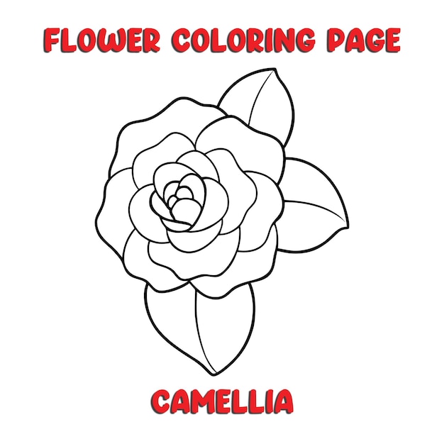 CAMELLIA flowers coloring book for kids