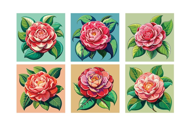 Camellia flowers set of vector drawing illustration