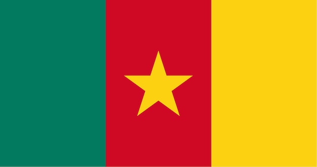 Cameroon flag in vector