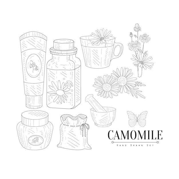 Camomile Cosmetics And Tea Hand Drawn Realistic Sketch