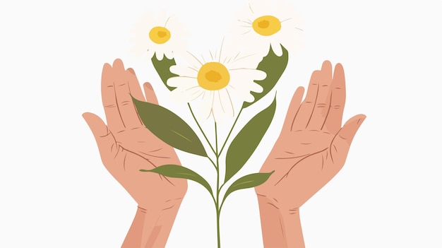 Vector camomile flower and human hands illustration flat