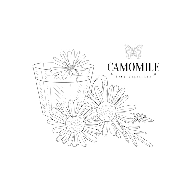 Camomile Herbal Tea Hand Drawn Realistic Sketch