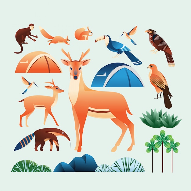 Camp and Forest illustration elements