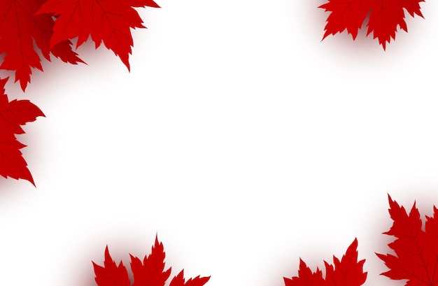 Vector canada day background of red maple leaves 