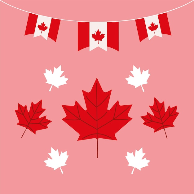 Canada day party