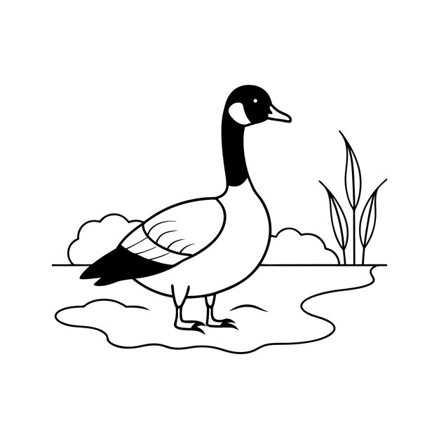 Vector canada goose swimming pond line art vector illustration