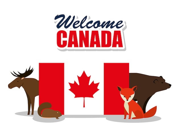 canadian culture group of animals vector illustration design