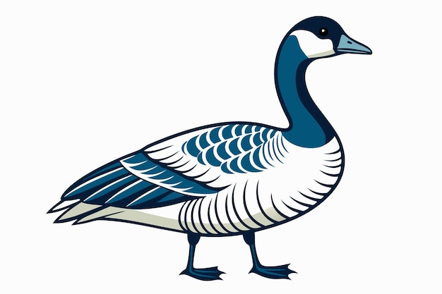 Vector canadian goose condor vector illustration m