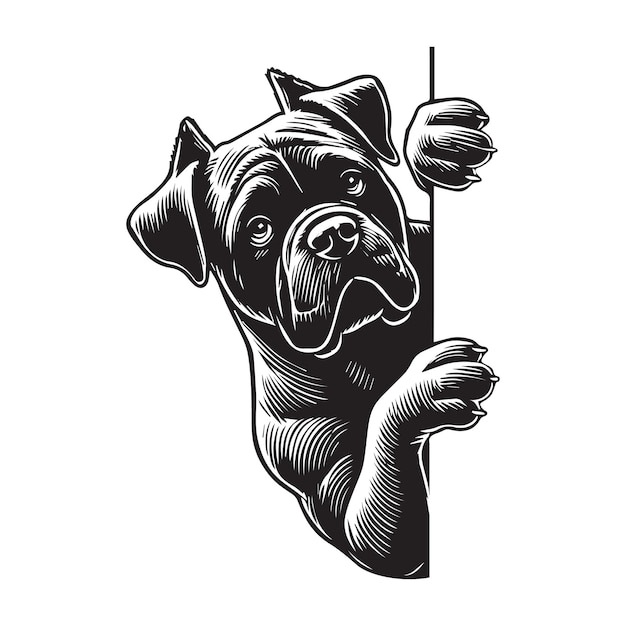 Vector cane corso dog peeking face dog clipart vector illustration in black and white