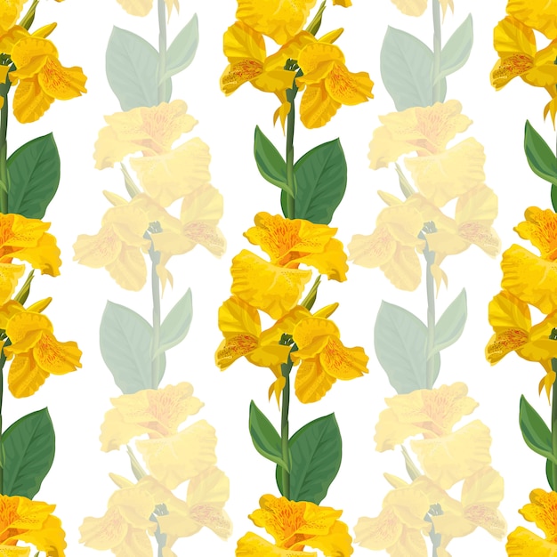 Canna lily yellow flower seamless pattern on white 