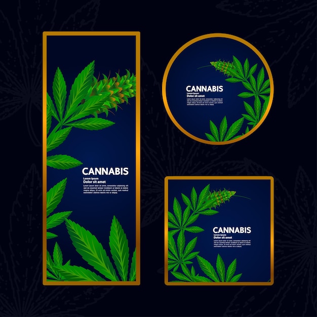 Vector cannabis background for product or package vector illustration