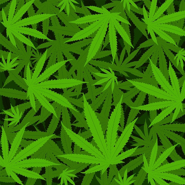 Cannabis background vector illustration