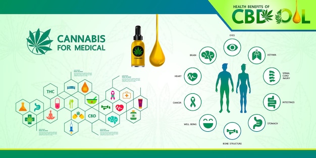 Vector cannabis benefits for medical and health vector illustration