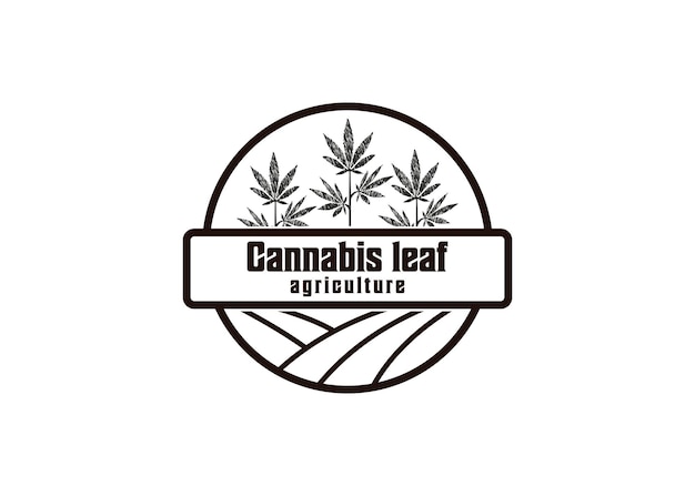 Vector cannabis leaf cbd agriculture farmer logo design retro vintage