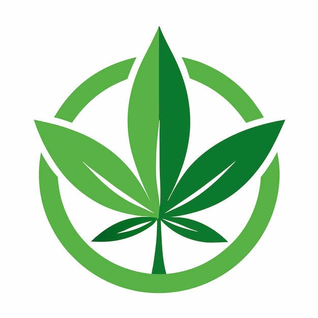 cannabis leaf eco logo design concept vector art and illustration