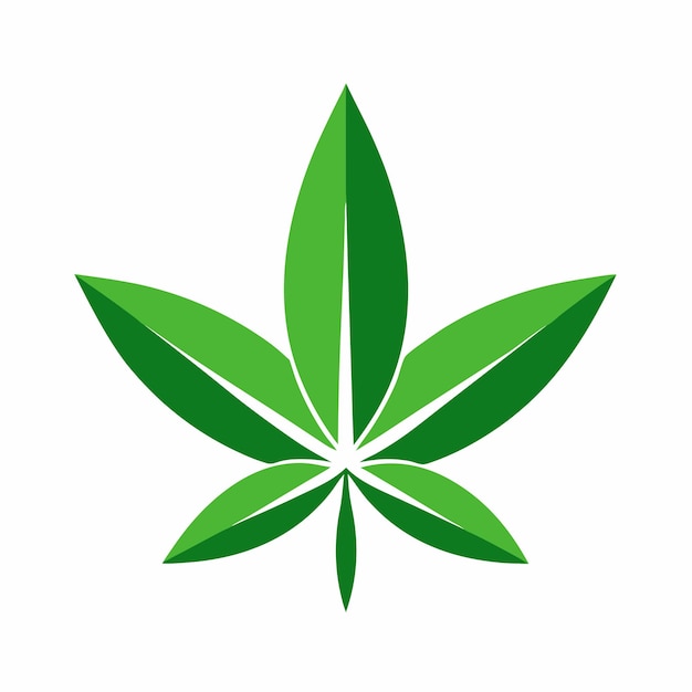 cannabis leaf eco logo design concept vector art and illustration