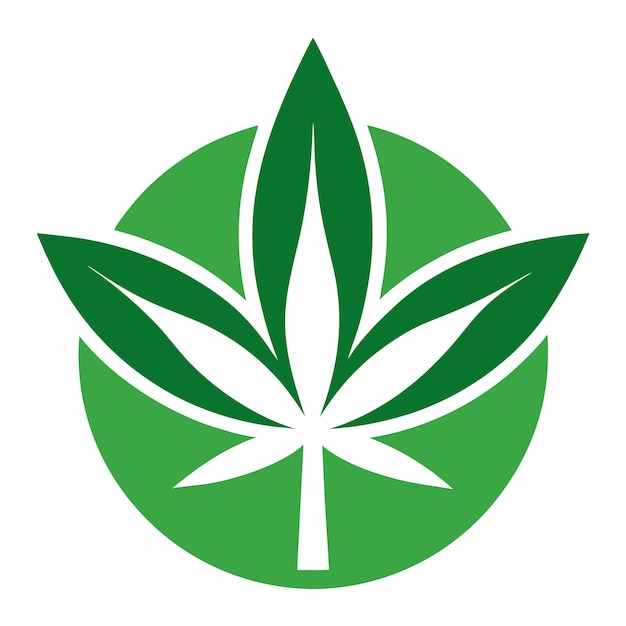 cannabis leaf eco logo design concept vector art and illustration