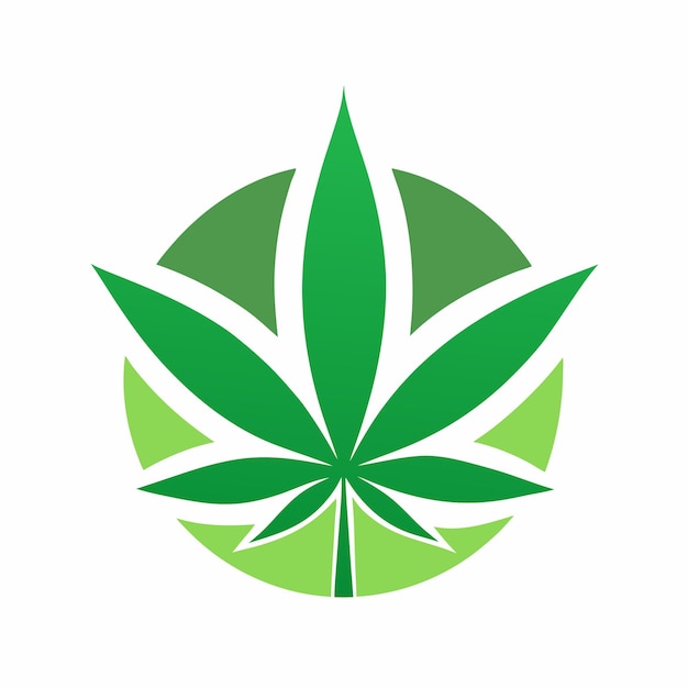 cannabis leaf eco logo design concept vector art and illustration