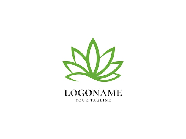 cannabis leaf logo design template vector