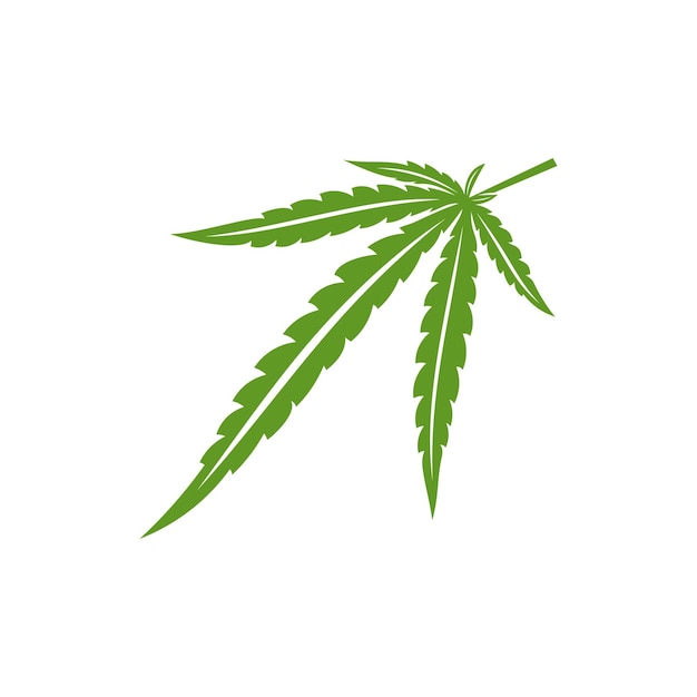 Cannabis leaf logo design vector template Creative Cannabis on white background