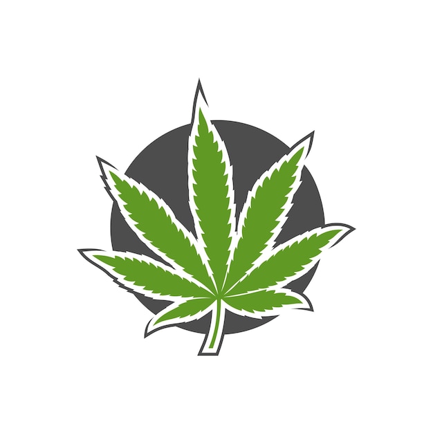 Cannabis leaf logo design vector template Creative Cannabis on white background