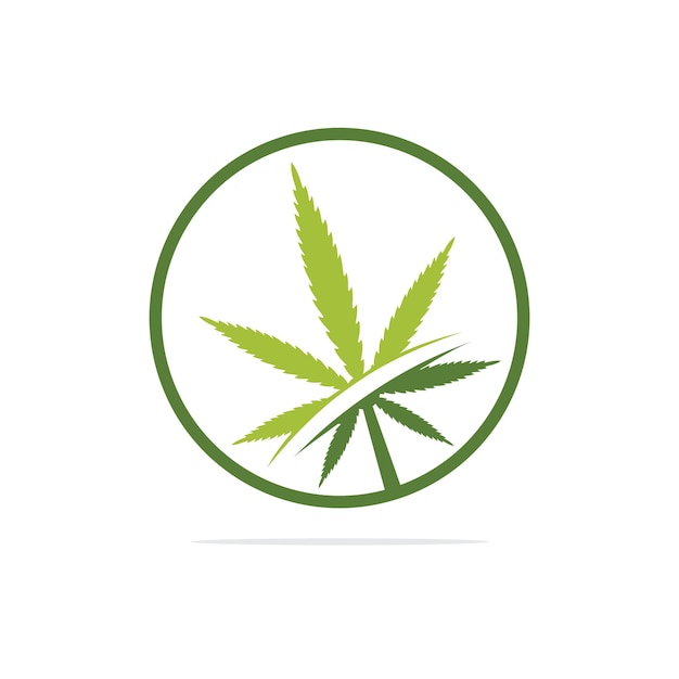 Cannabis leaf vector logo design