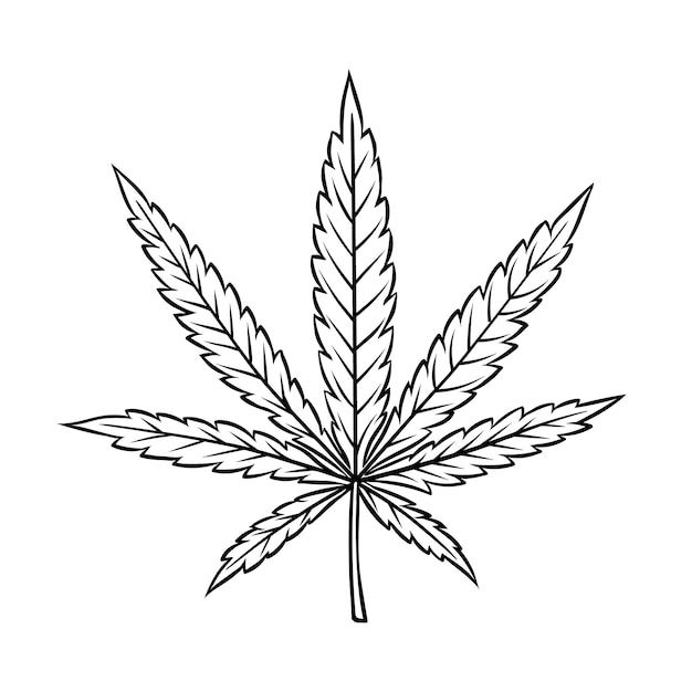 Vector cannabis leaf in vintage engraved style for smoking or medicine