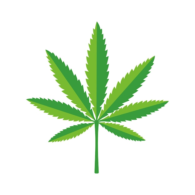 Cannabis marijuana hemp leaf Vector illustration