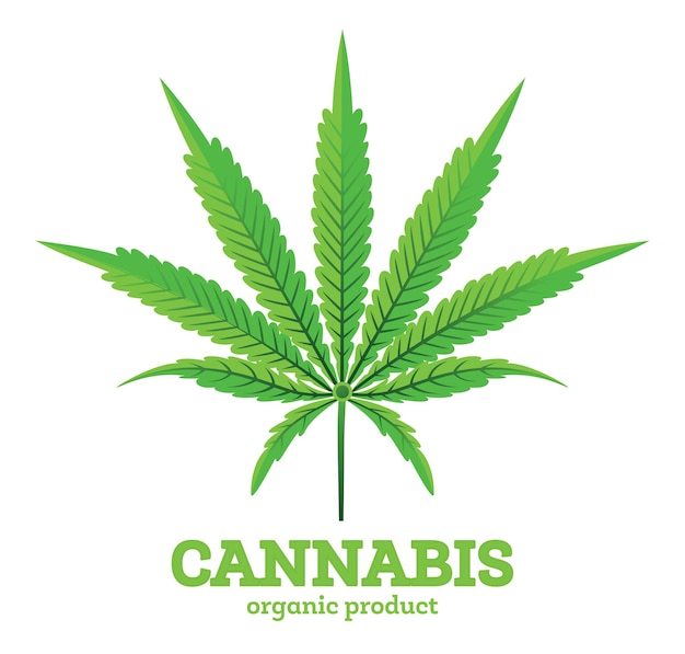 Cannabis or Marijuana Leaf Emblem Isolated on White. Vector Illustration. Organic Product.