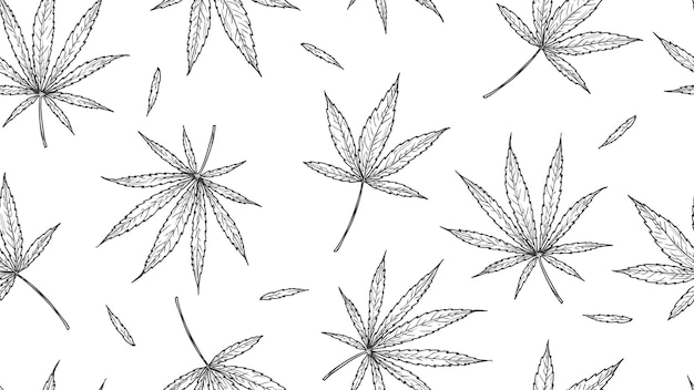 Cannabis pattern. marijuana leaves, hand drawn hemp