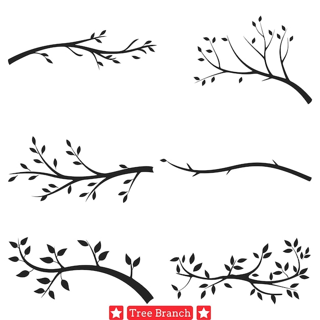 Canopy Charisma Alluring Tree Branch Silhouette Compilation