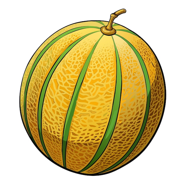 Vector cantaloupe cartoon vector illustration flat style artwork concept