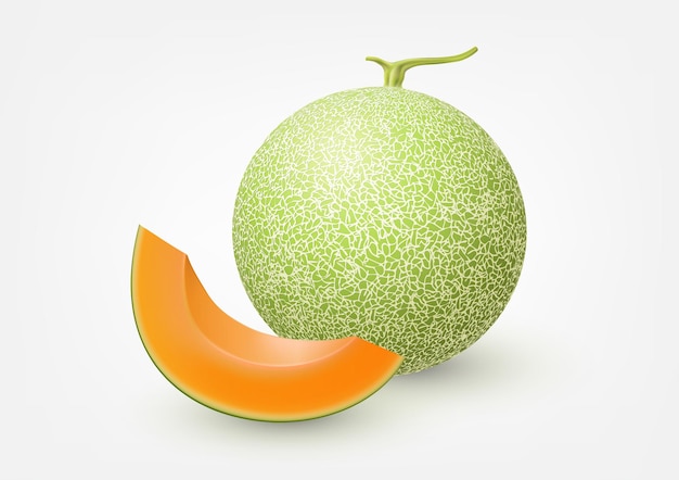 Cantaloupe melon isolated fruit