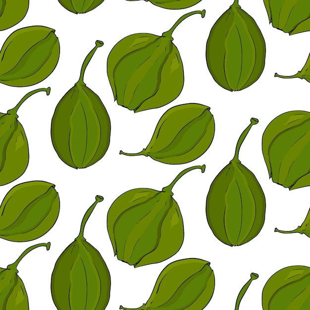 Capers seamless pattern. Vegetarian delicious. Eco organic food.