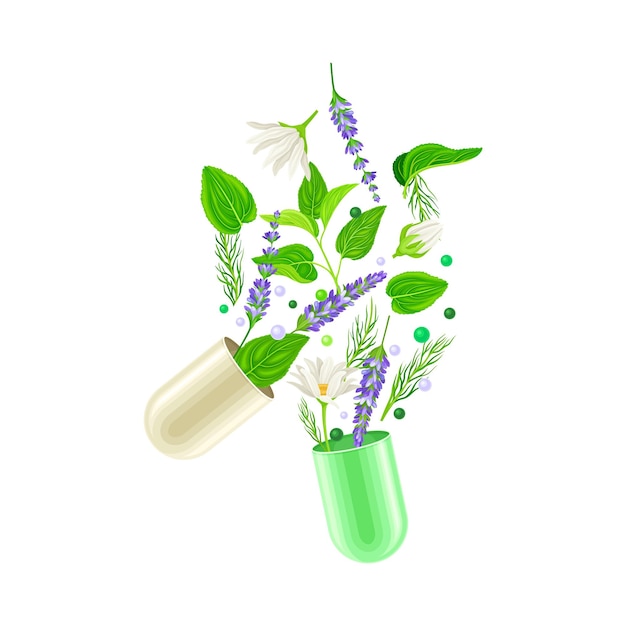 Vector capsule halves with floating medical herbs as vitamins and supplement vector illustration