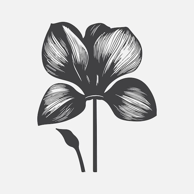 Captivating Cyclamen Flower Silhouette Natures Artistic Masterpiece