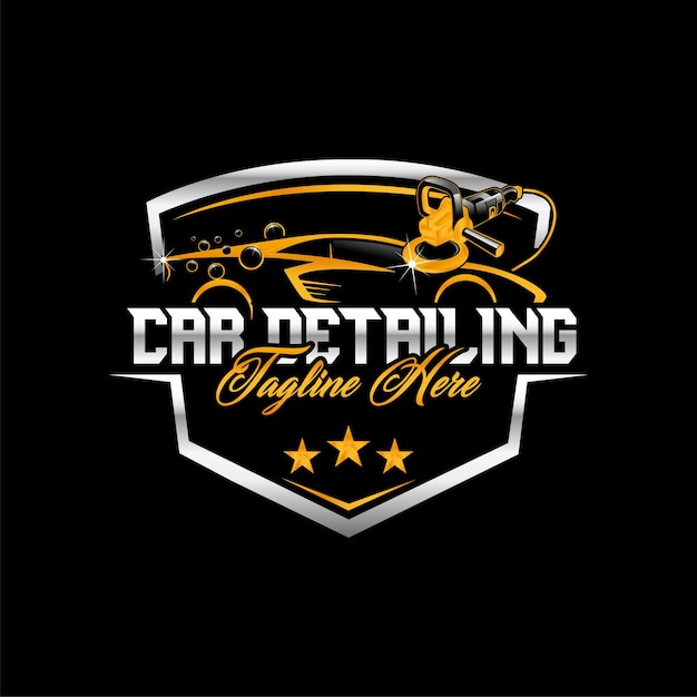 Vector car detailing logo