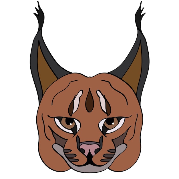 Caracal head illustration sport mascot or team logo in flat style Cartoon image in vector graphics