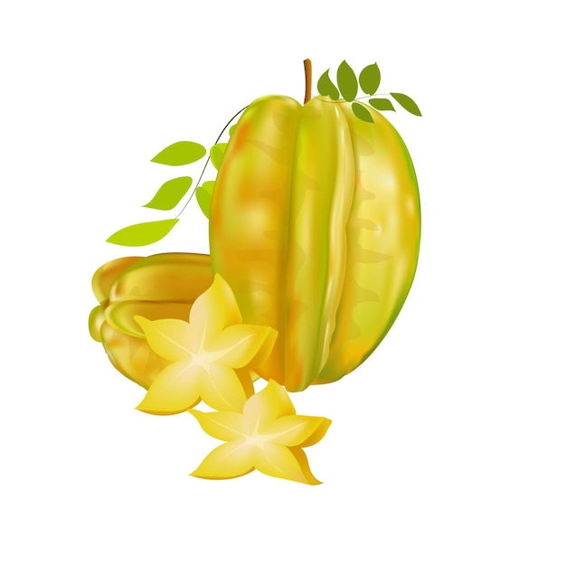 Carambola or star fruit whole fruit and slice vector illustration