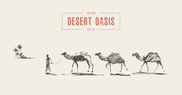 Caravan of camels in desert, camelcade. Hand drawn vector illustration, sketch